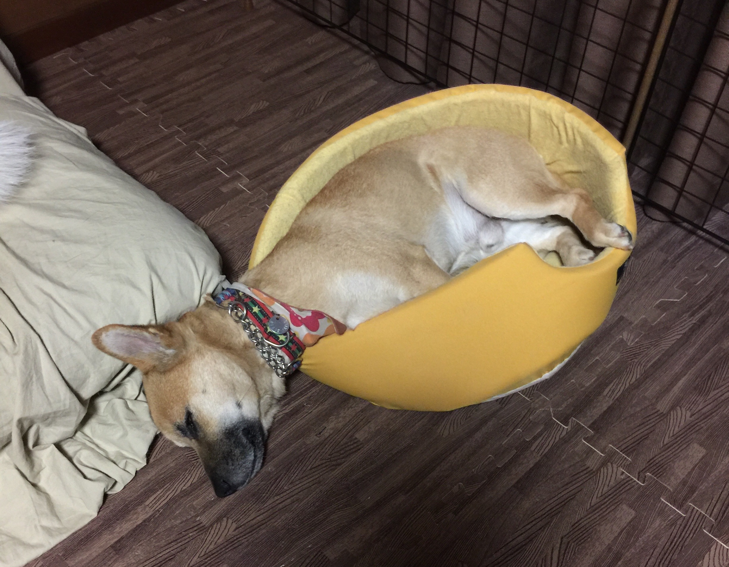 f:id:li-la:20180508105250j:image