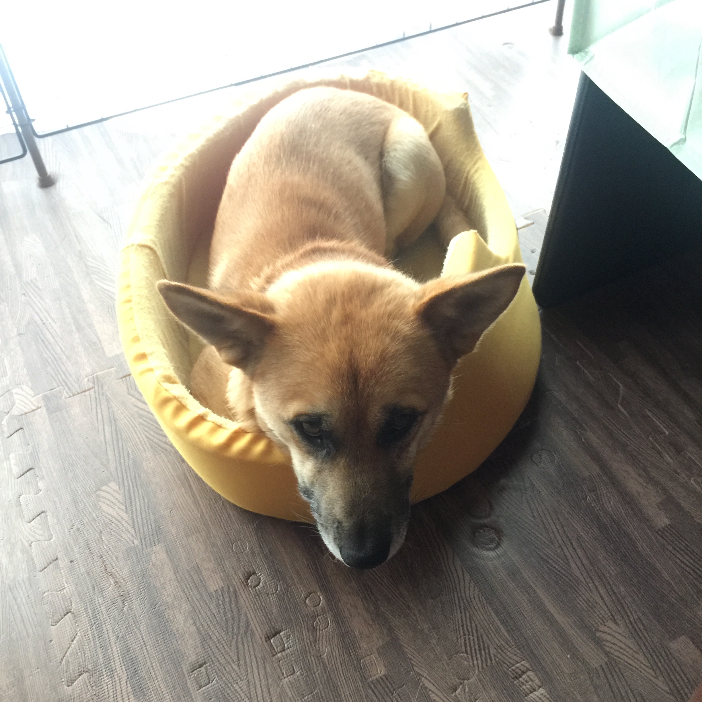 f:id:li-la:20180508105256j:image