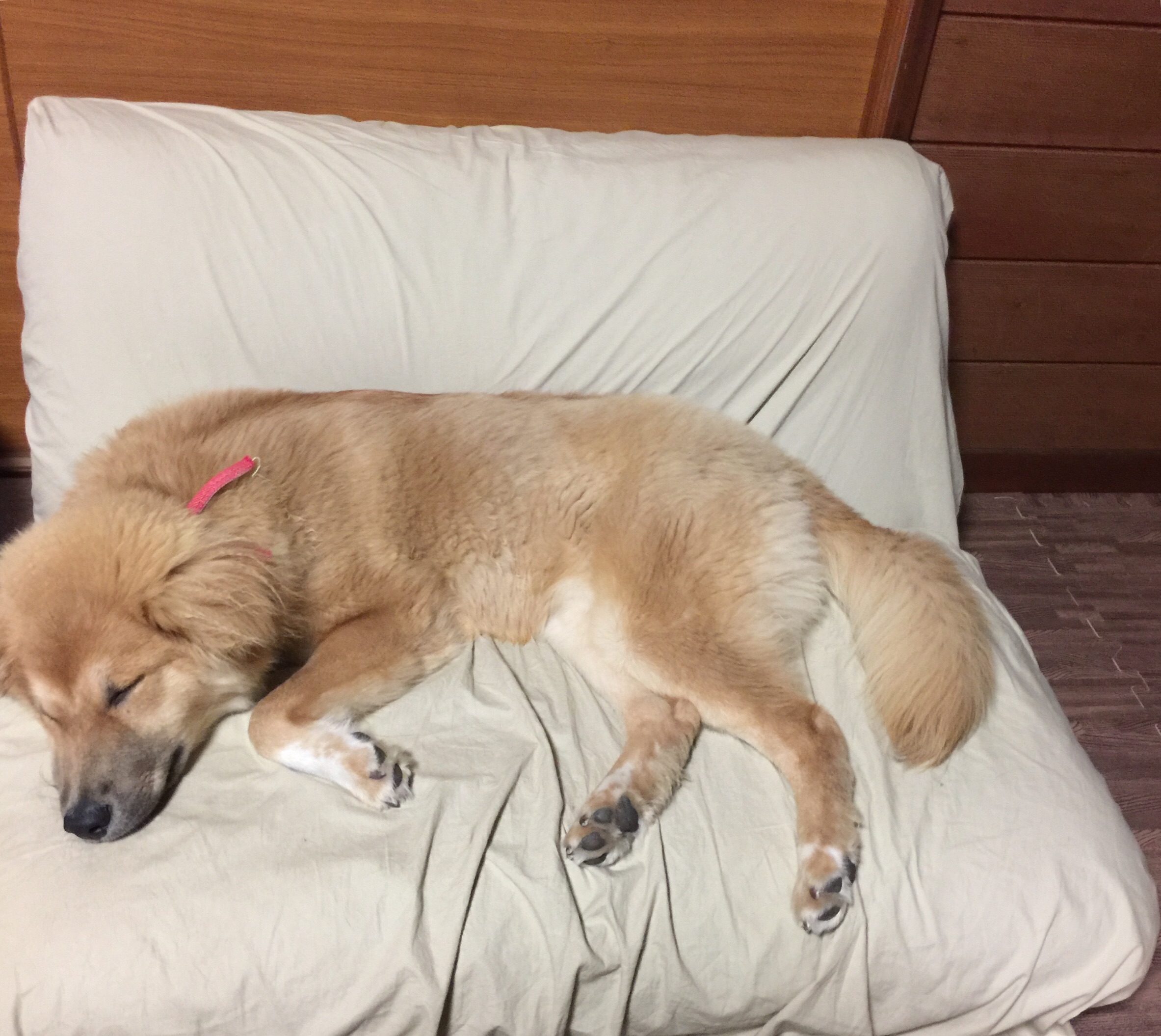 f:id:li-la:20180508105336j:image