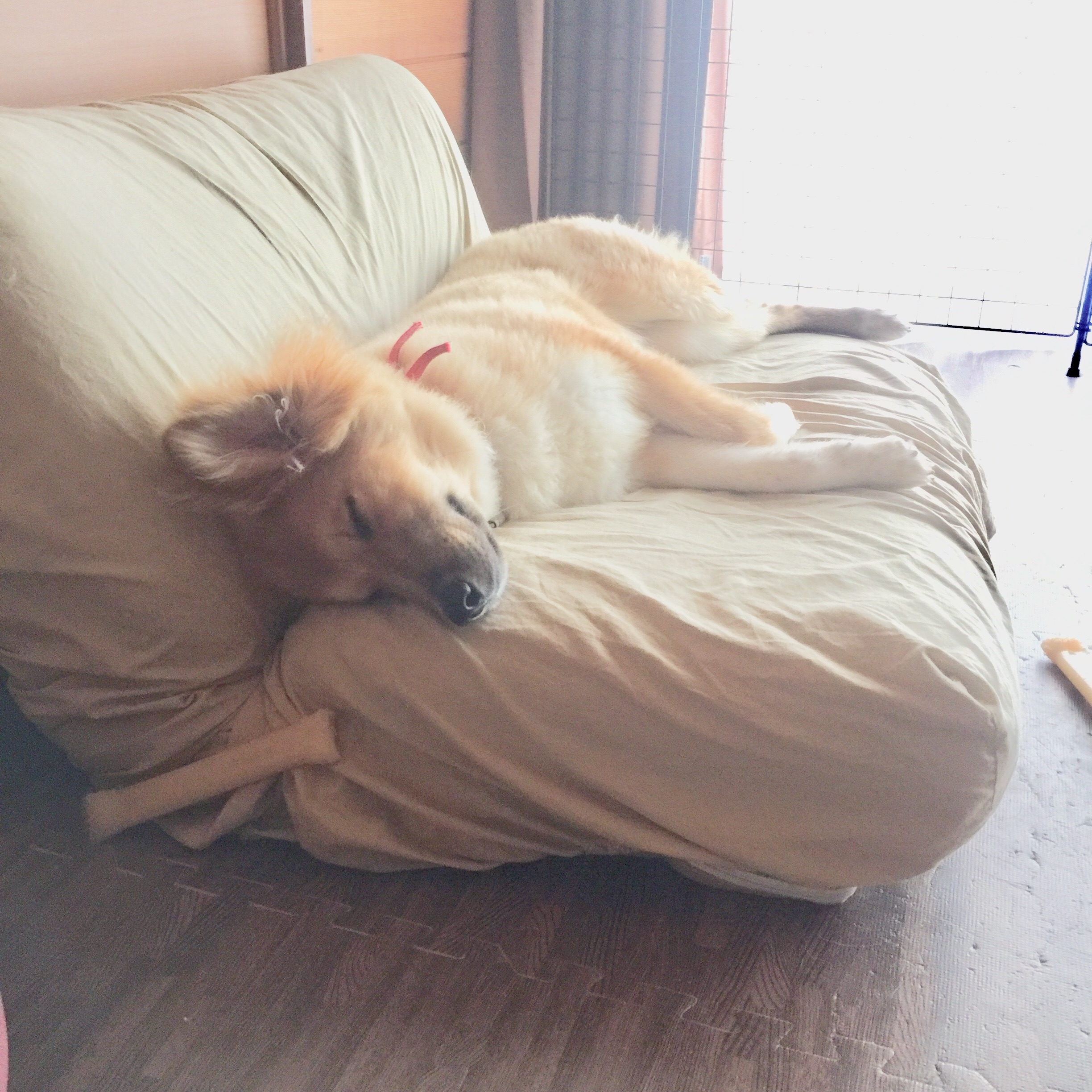 f:id:li-la:20180508105345j:image