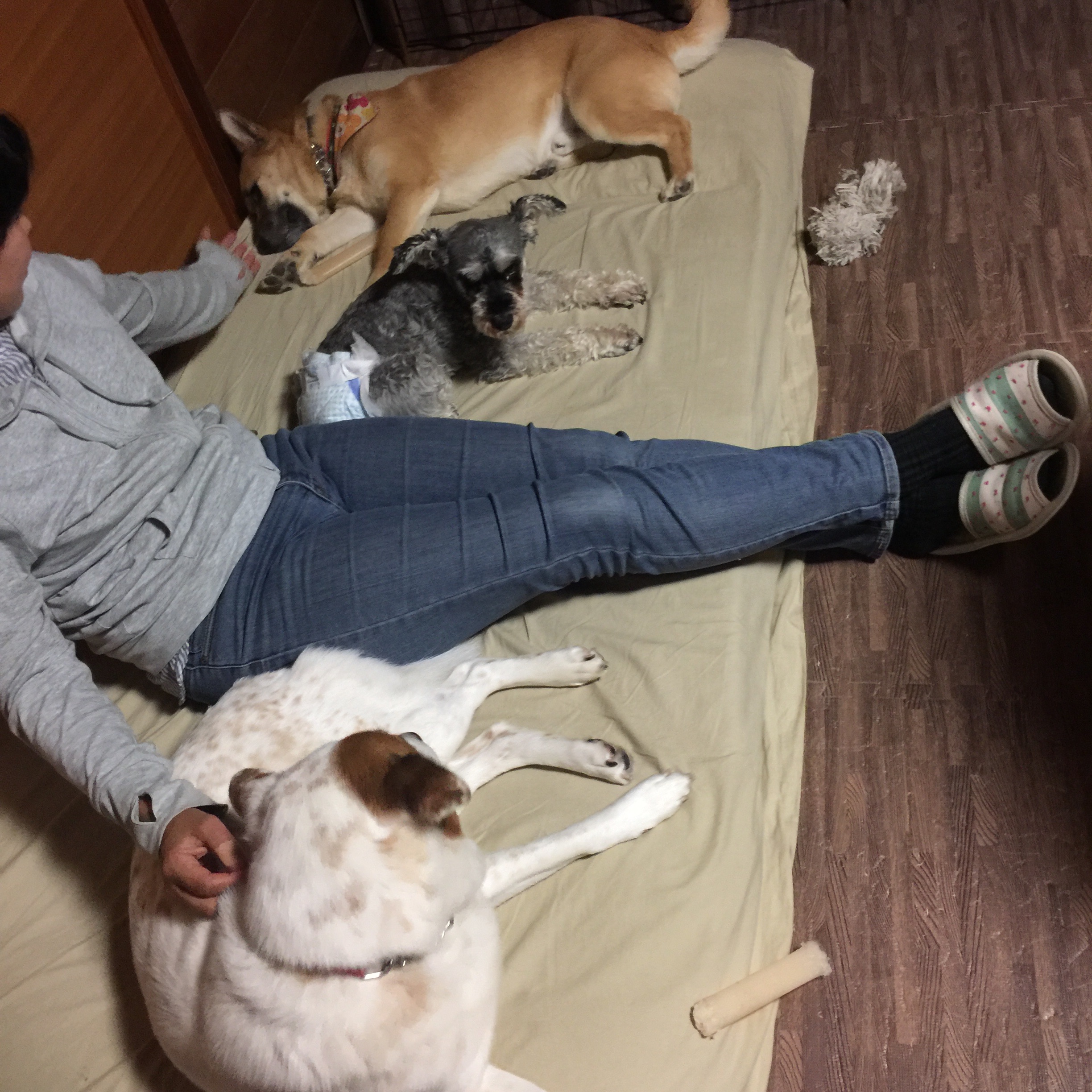 f:id:li-la:20180612081040j:image