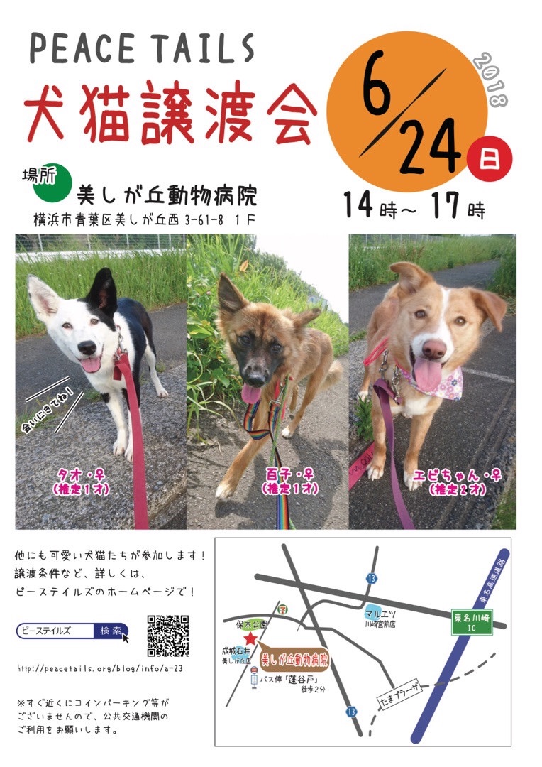 f:id:li-la:20180612212910j:image