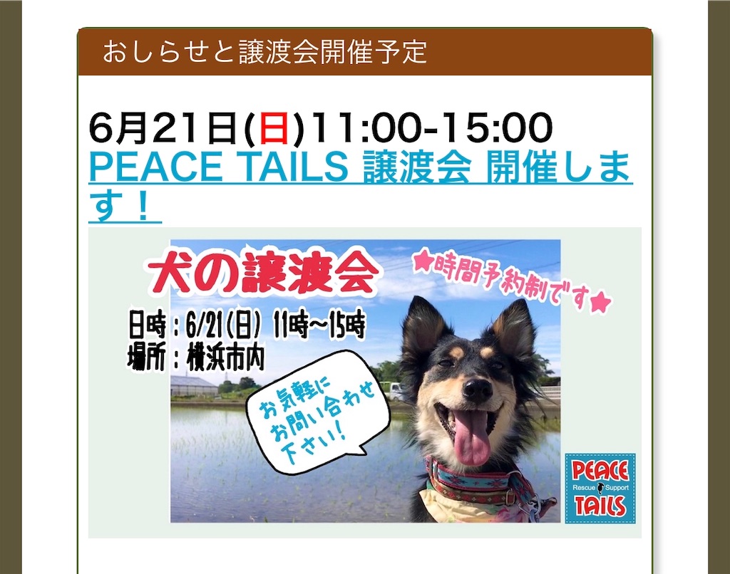 f:id:li-la:20200615232403j:image