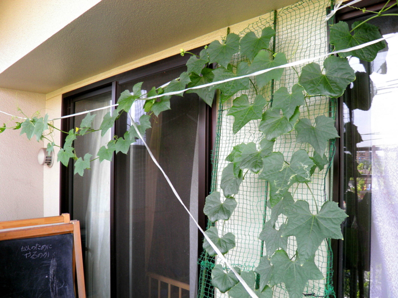 f:id:liangshuang:20130718200410j:image:w360