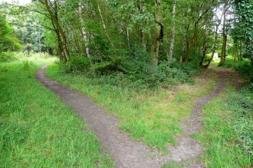 f:id:liaoyuan:20090722123951j:plain