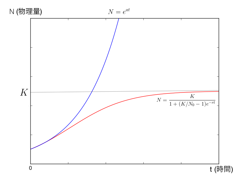 指数 関数 的 と は