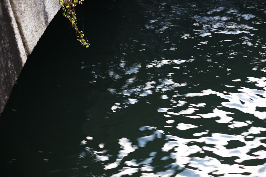 f:id:libera-softvaro:20081013140403j:image