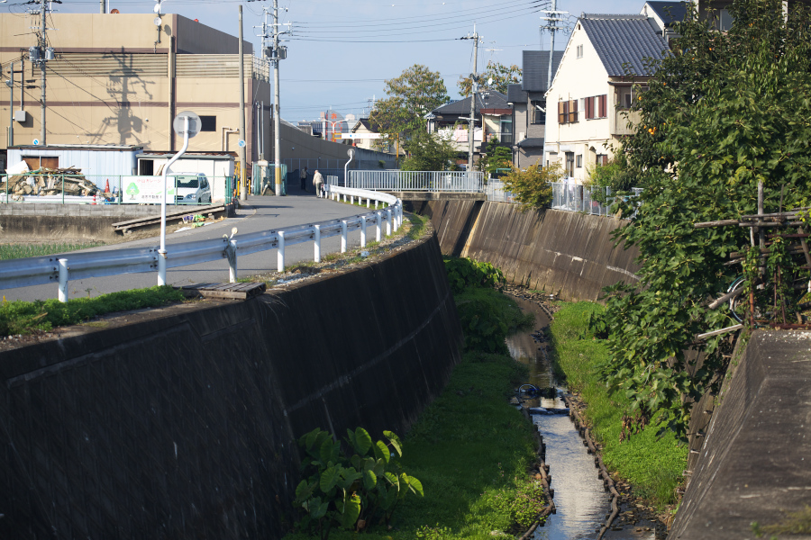 f:id:libera-softvaro:20081019140633j:image