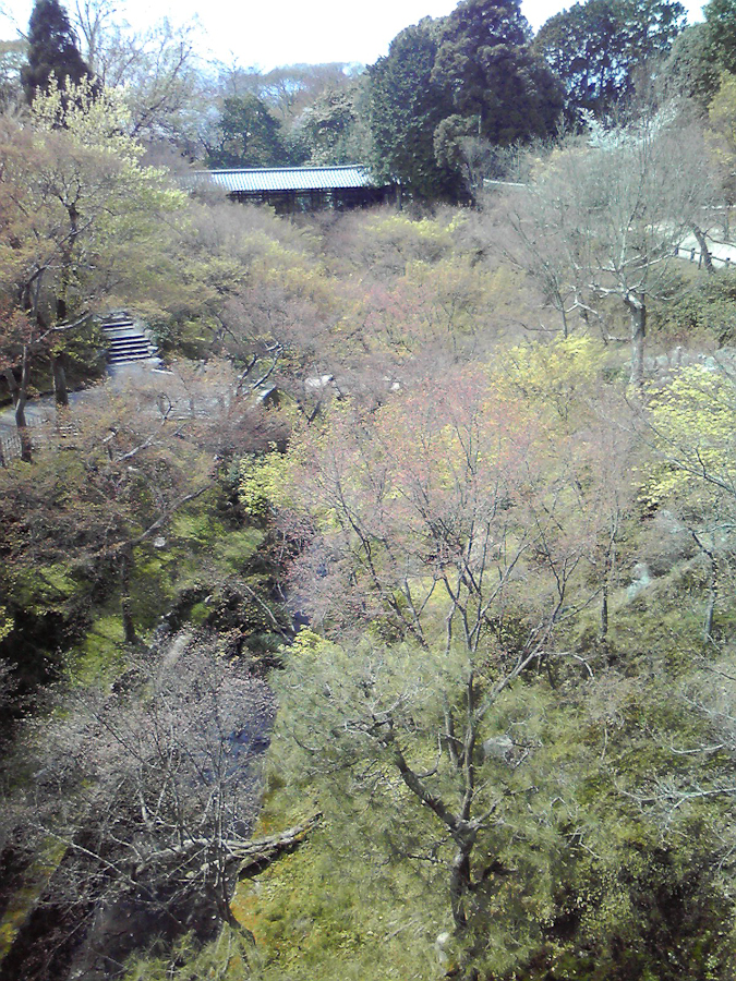 f:id:libera-softvaro:20090405223510j:image