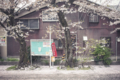 20120419222421