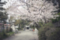 20120419222427