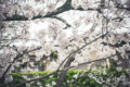 20120419222428