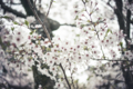 20120419222429
