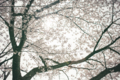 20120419222457