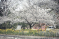 20120421105611