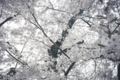 20120421105617