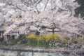 20120421105620