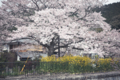 20120421105621