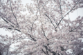 20120421105632