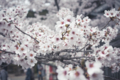 20120421105650