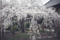 20120423232508