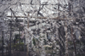20120423232510