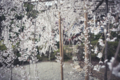 20120423232514