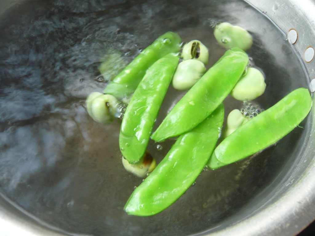 f:id:libertablu:20190523010550j:plain