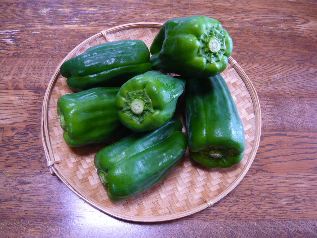 f:id:libertablu:20190720114535j:plain