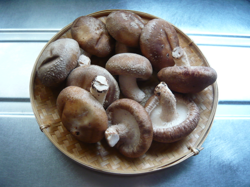 f:id:libertablu:20200420173347j:plain f:id:libertablu:20200420173347j:plain