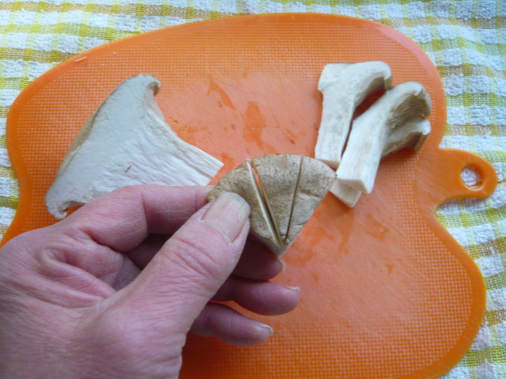 f:id:libertablu:20201227060436j:plain