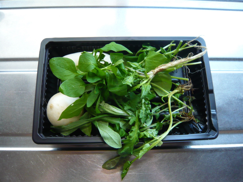 f:id:libertablu:20210106220101j:plain