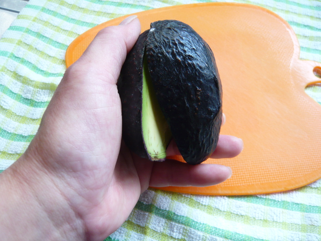 f:id:libertablu:20210727163359j:plain