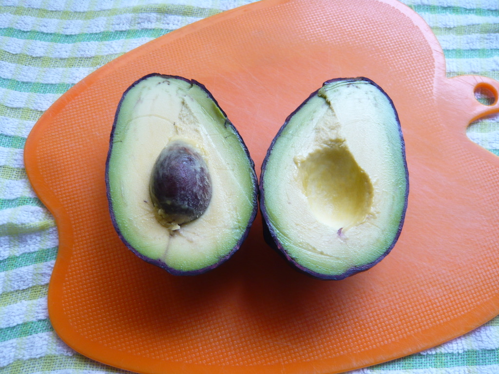 f:id:libertablu:20210727163417j:plain