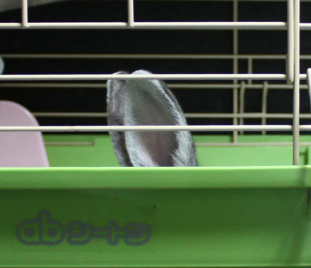 f:id:libio50m:20110821214651j:image