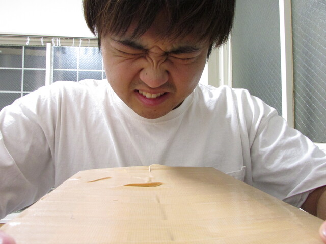 段ボールを見つめる男性