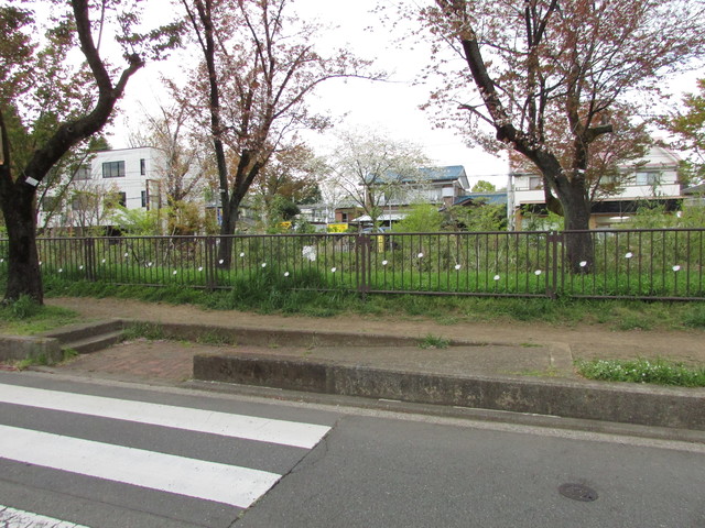 辺りの景色