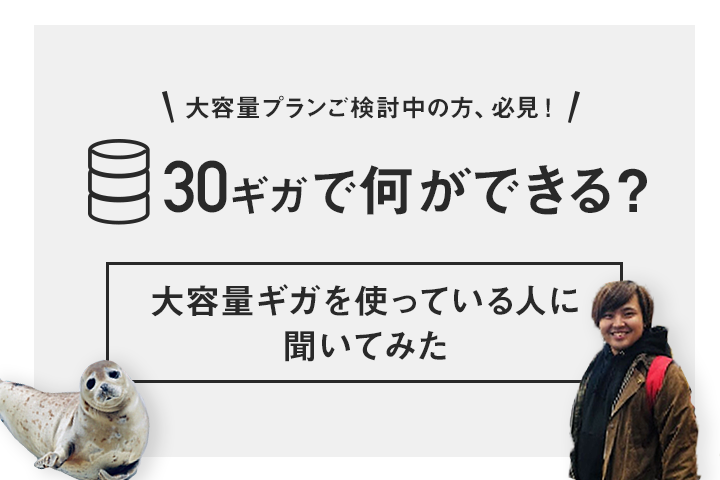 30ギガで何ができる 大容量ギガを使っている人に聞いてみた Libmo Blog Simでちょっと素敵なコミュニケーション