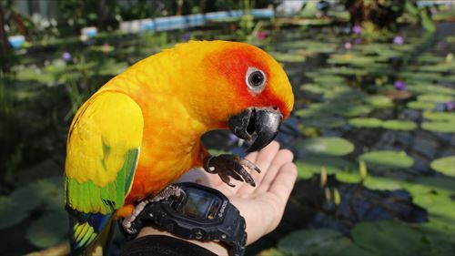 f:id:libmo:20201207103852j:plain