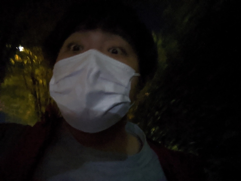 f:id:libmo:20201216094538j:plain