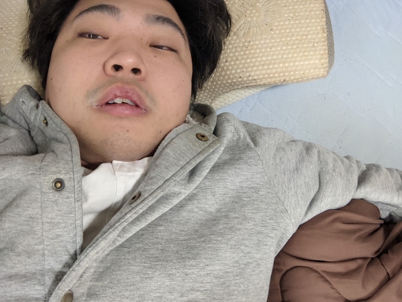 f:id:libmo:20201216094656j:plain