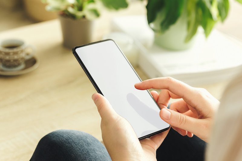 f:id:libmo:20210609102043j:plain