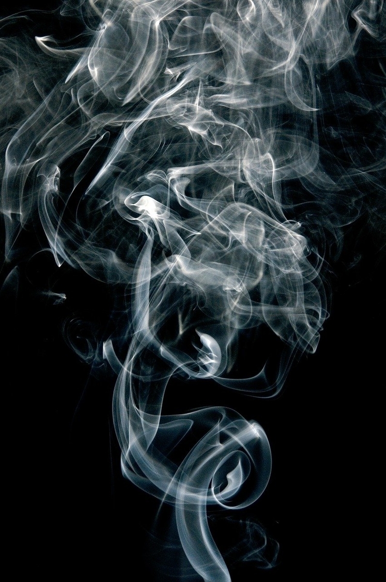 f:id:libra_19:20200125030830j:plain f:id:libra_19:20200125030830j:plain