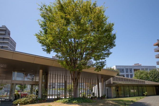 ニュートンプレイスのエントランスゲートの前