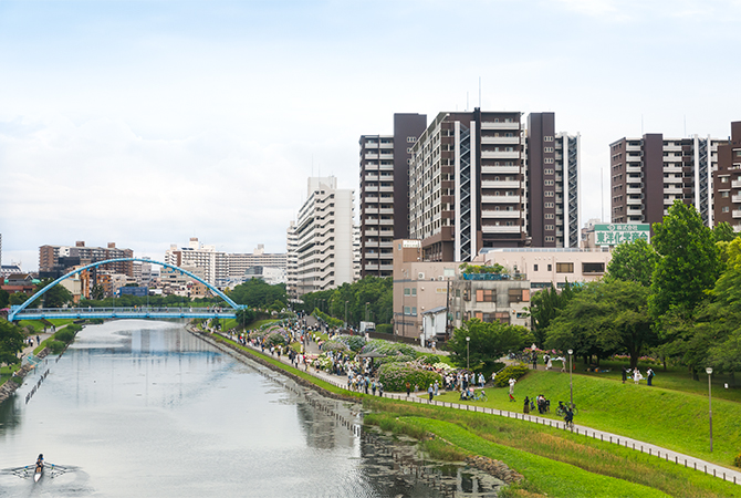 旧中川の河川敷とふれあい橋