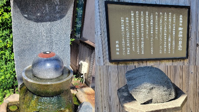 f:id:licht-31:20241123180549j:image
