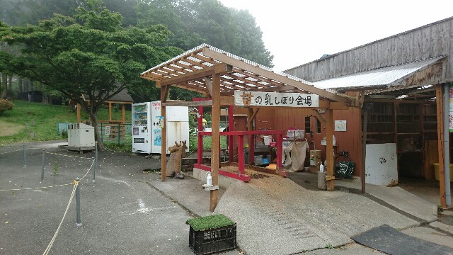 f:id:licocha:20170715162950j:image