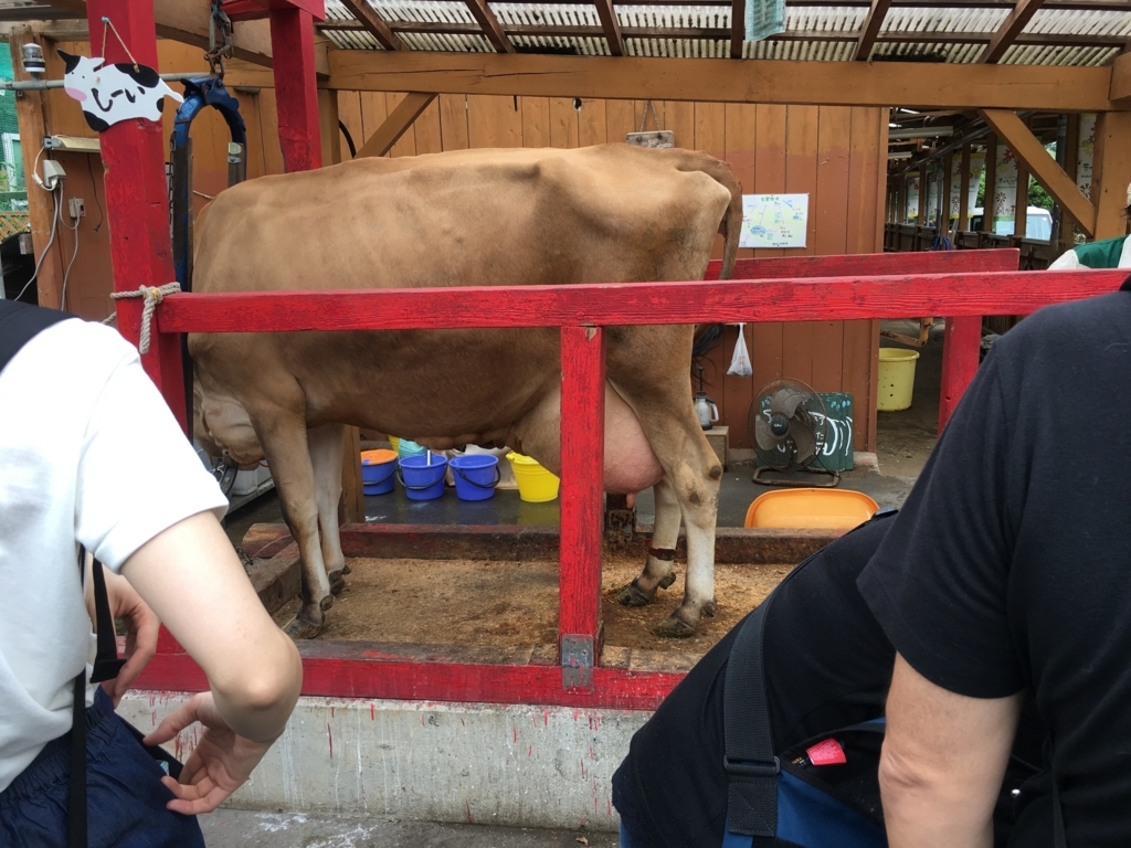 f:id:licocha:20170715163945j:plain