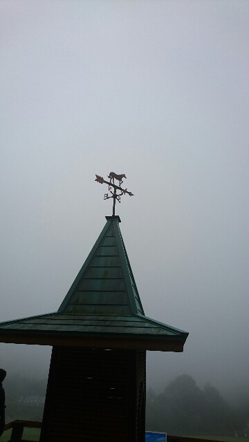 f:id:licocha:20170715164313j:image