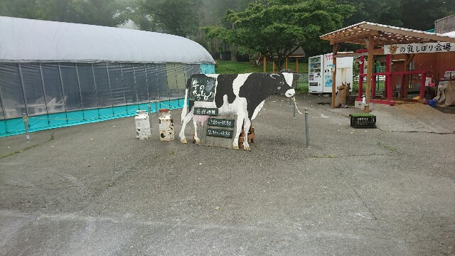 f:id:licocha:20170715235404j:image